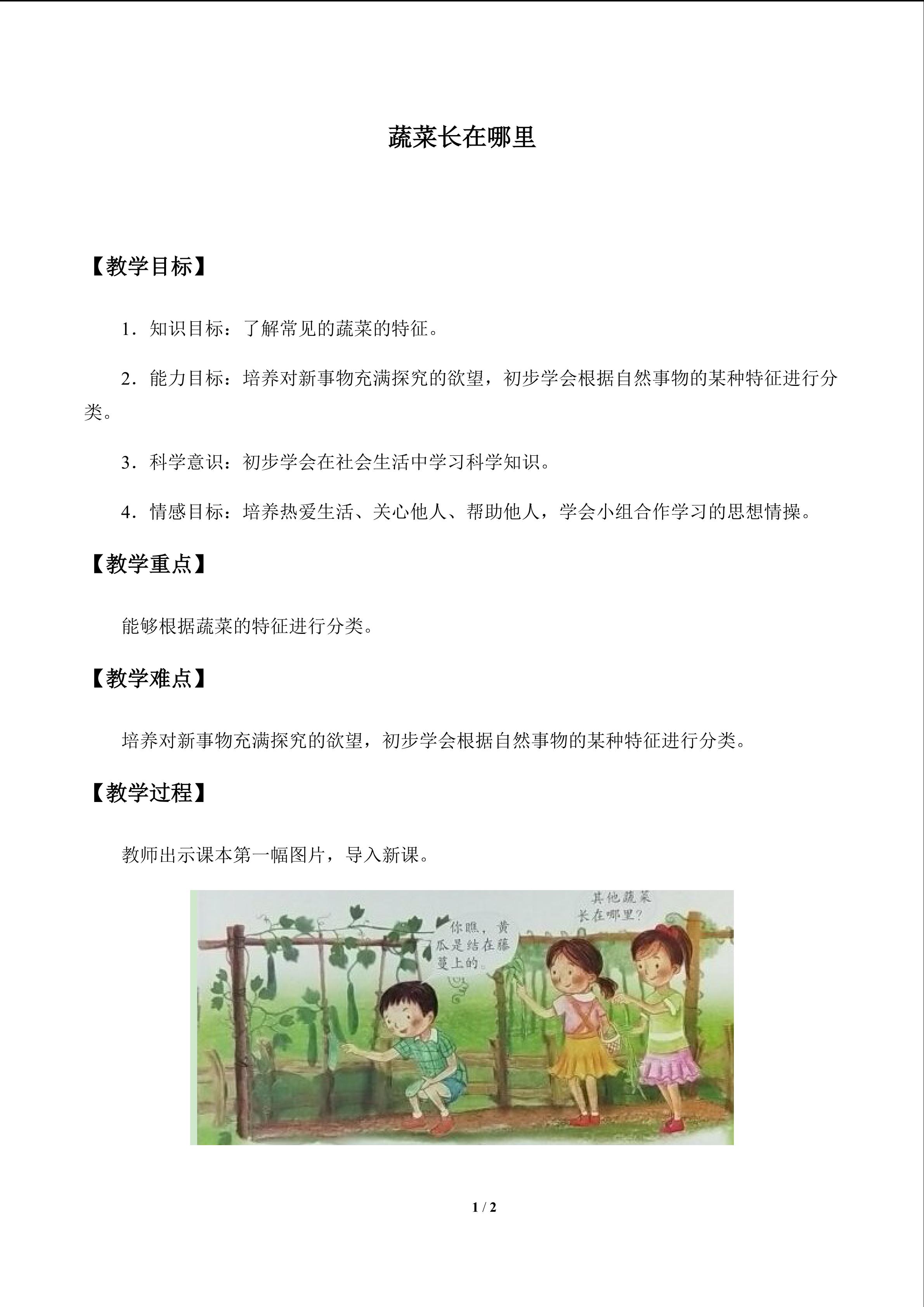 蔬菜长在哪里_教案1