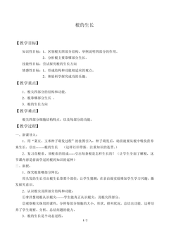 根的生长_教案1