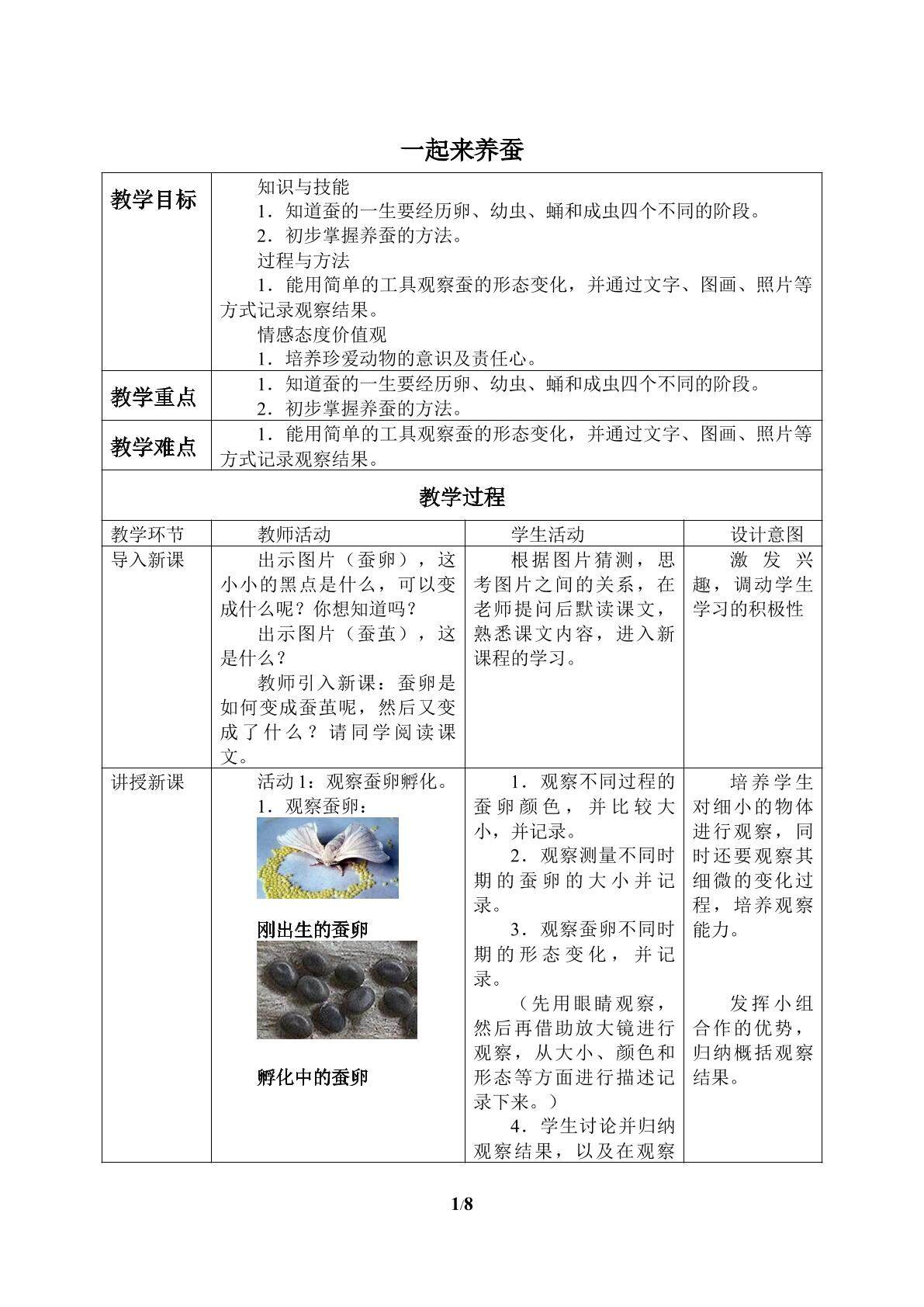 一起来养蚕