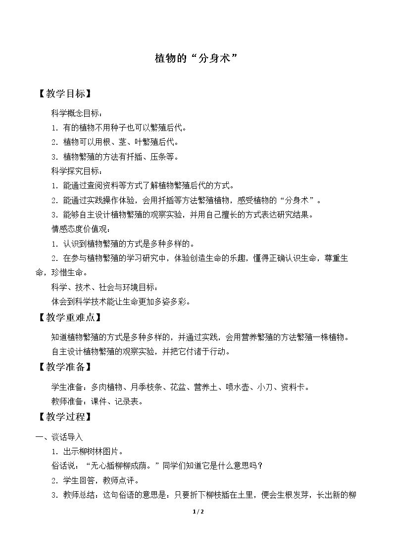 植物的“分身术”