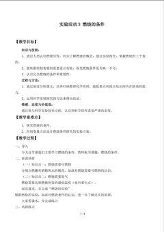 实验活动3 燃烧的条件