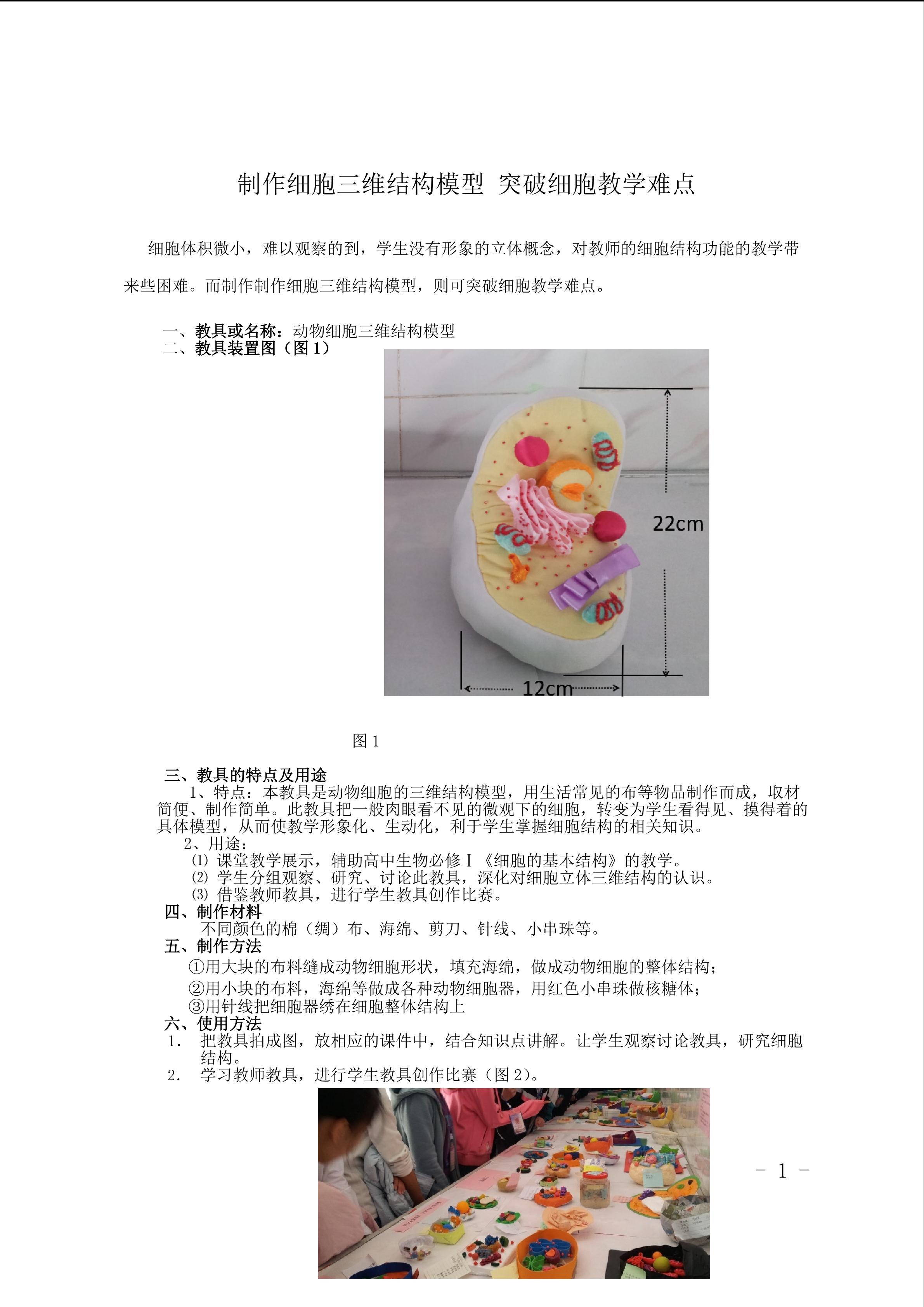 制作细胞三维结构模型 突破细胞教学难点