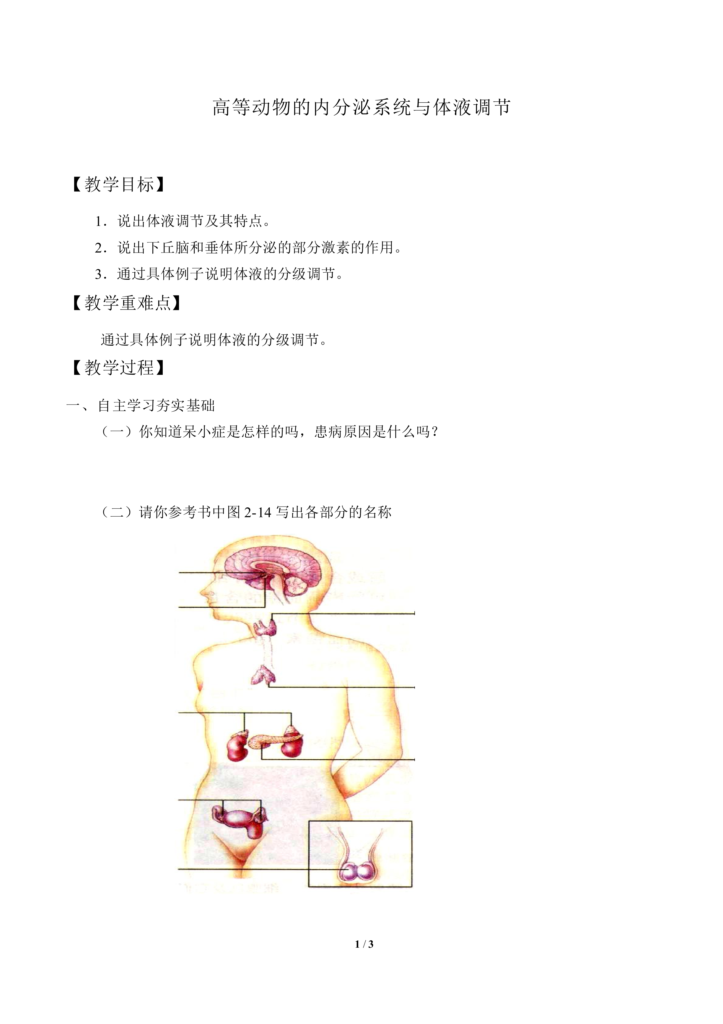 高等动物的内分泌系统与体液调节_教案1