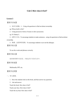 Unit 2 How does it feel?_教案2