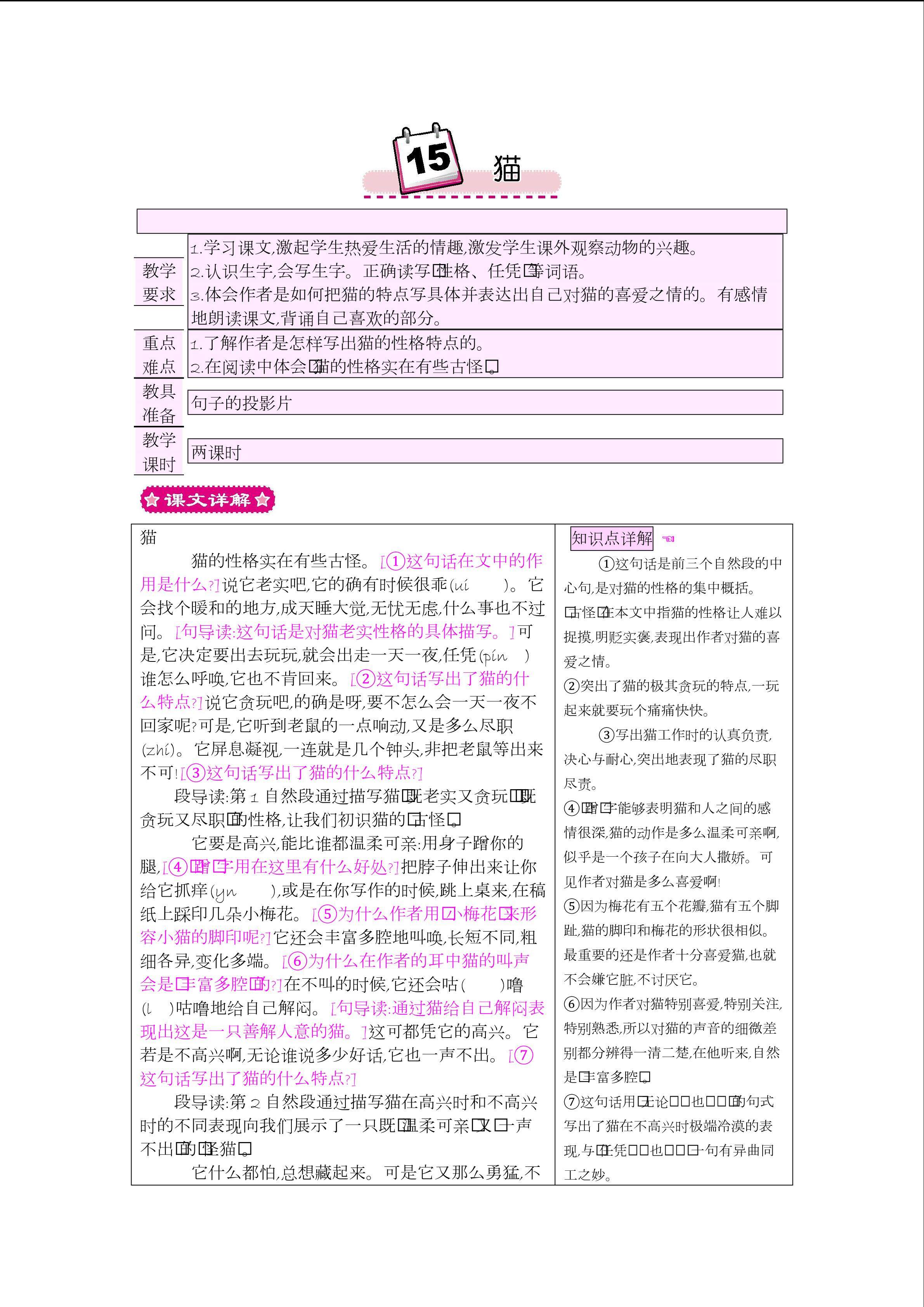 猫