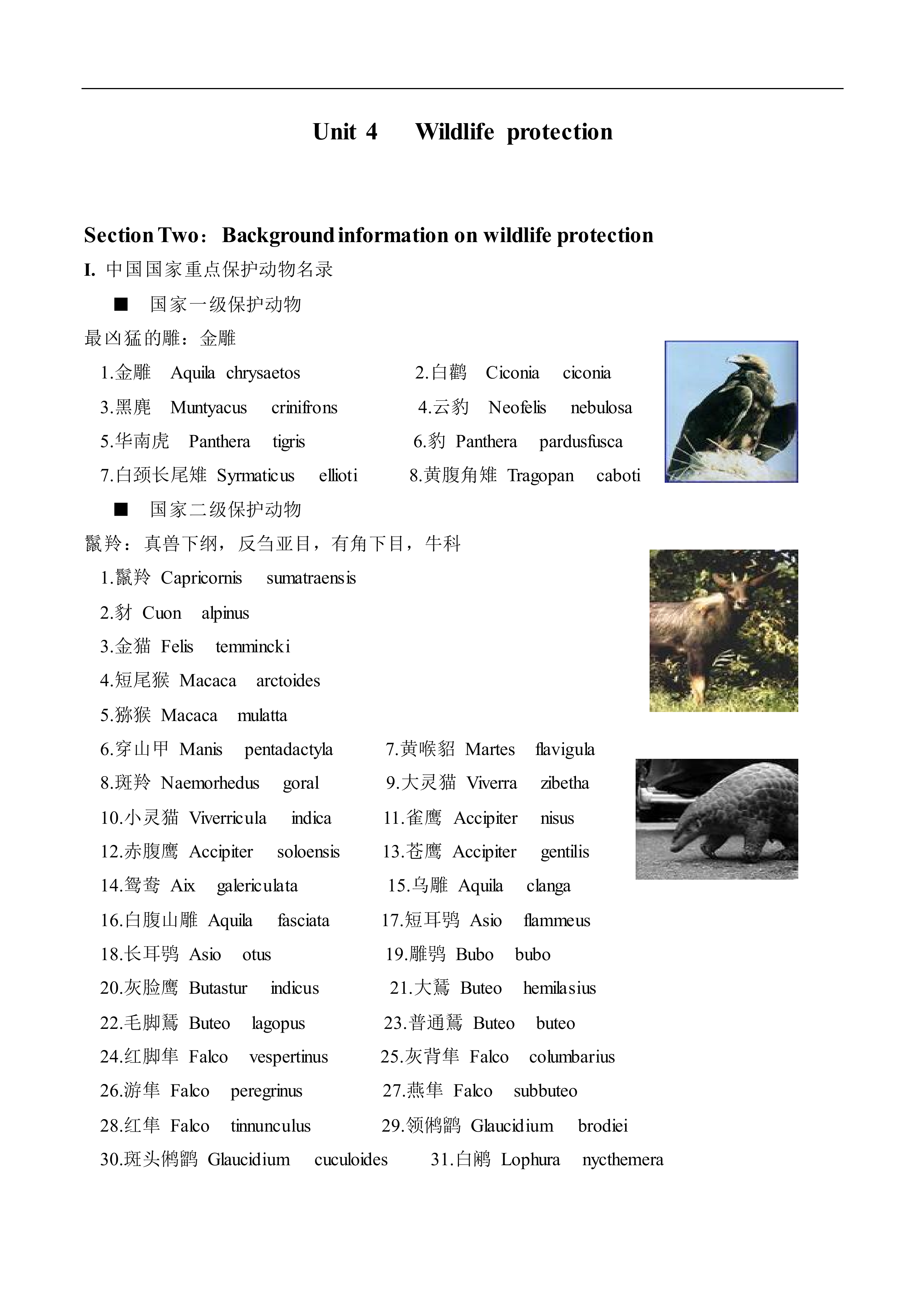 Wildlife protection_教案5