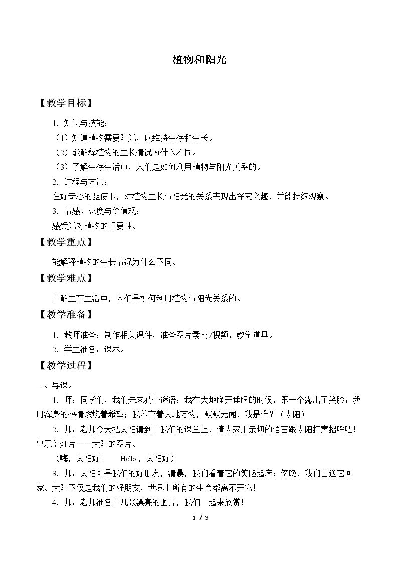 植物和阳光