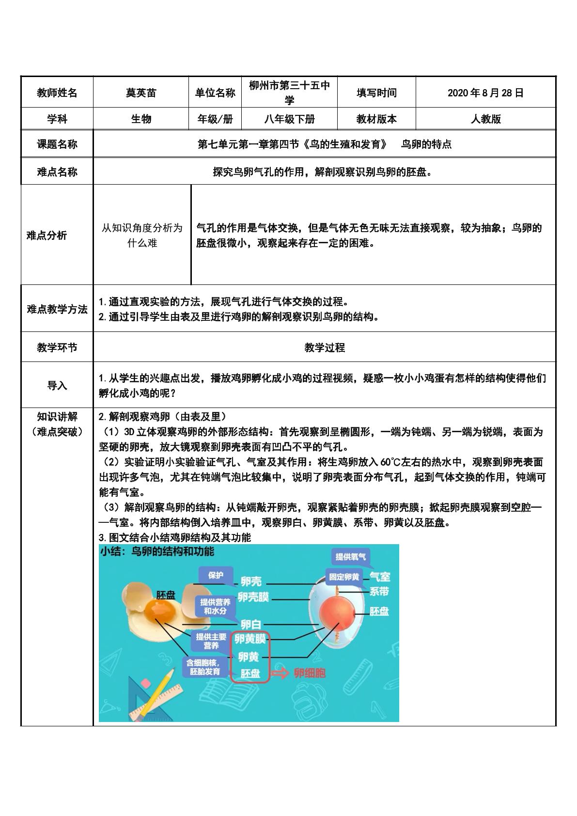 鸟卵的特点