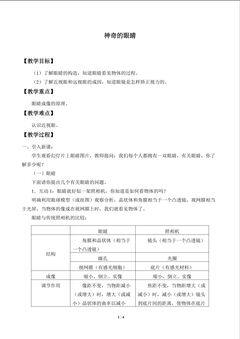 神奇的眼睛_教案1