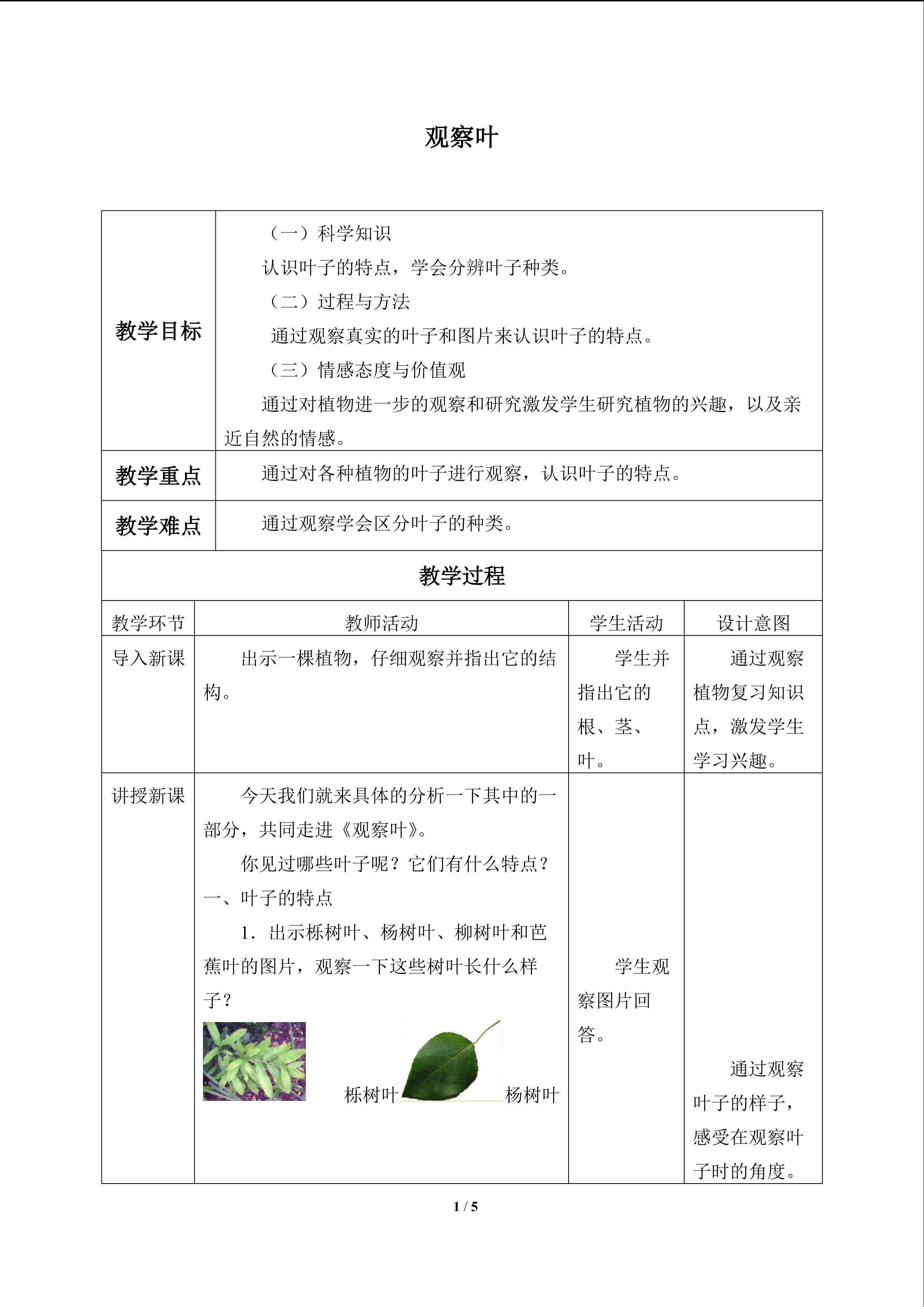 观察叶_教案1