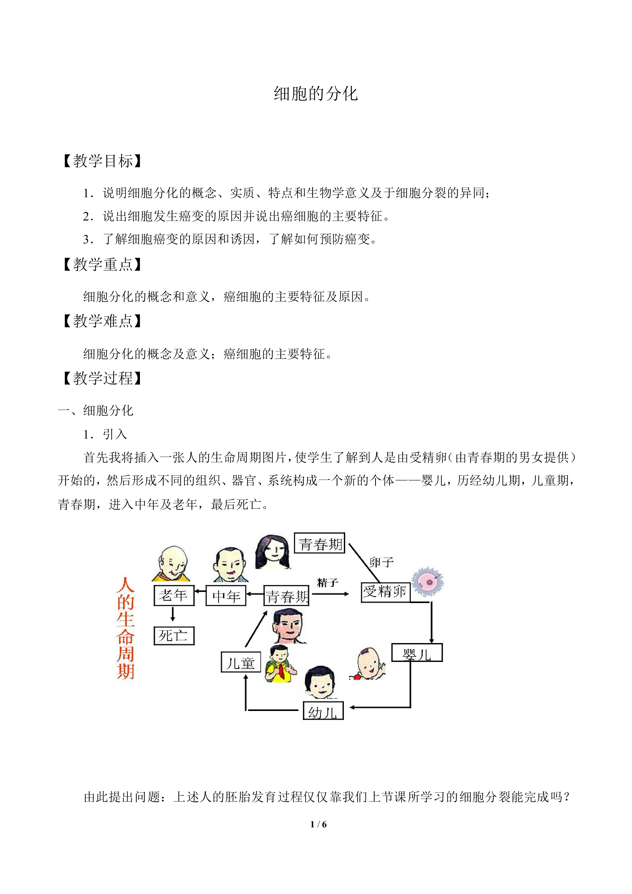 细胞的分化_教案1