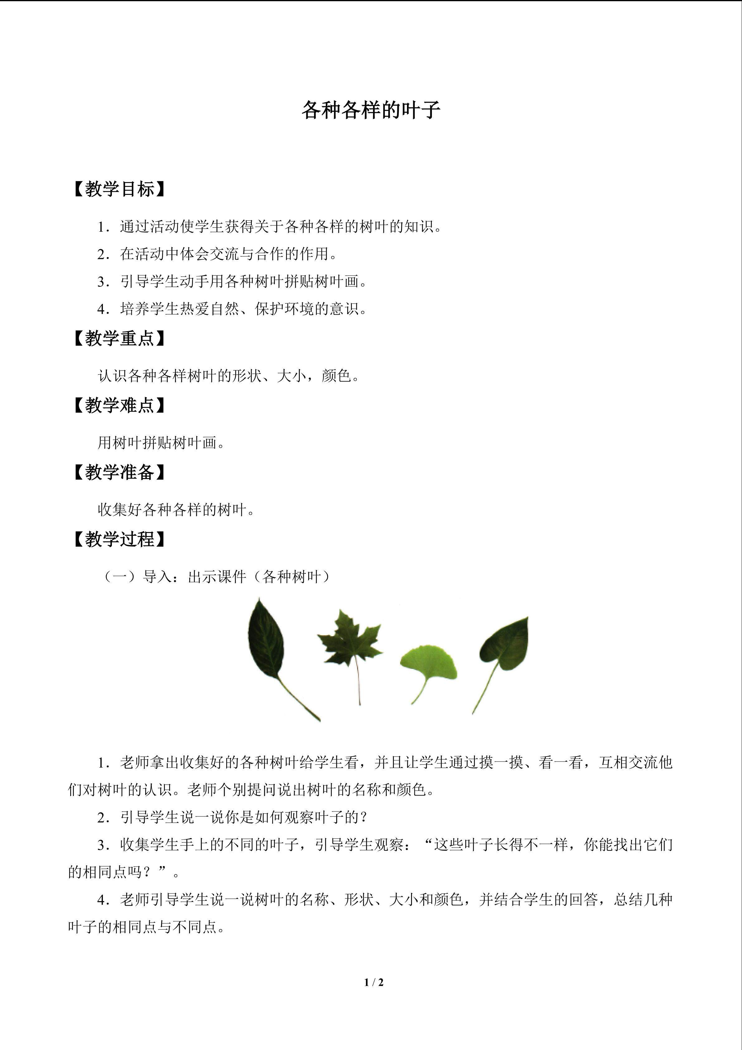 各种各样的叶_教案1