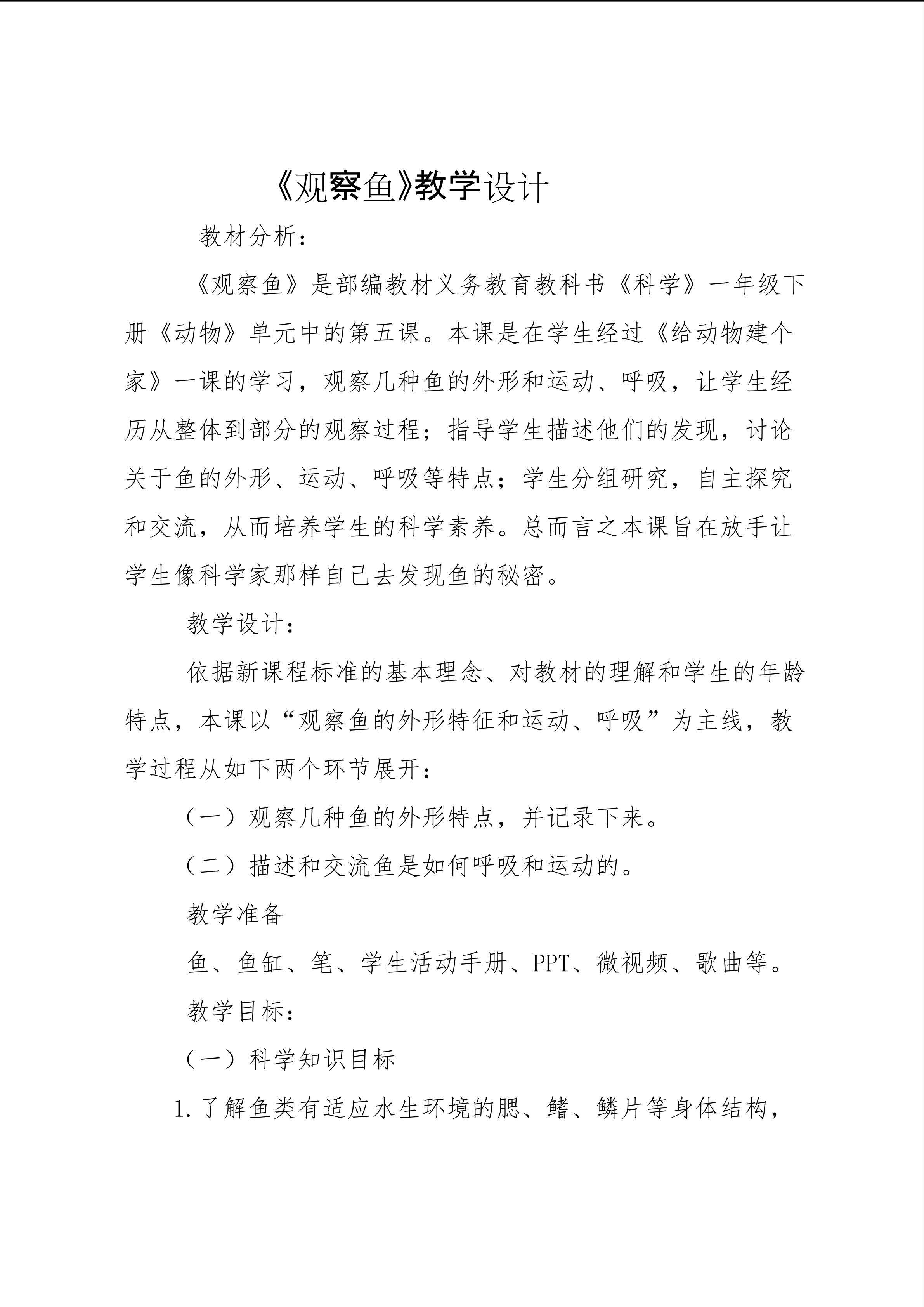 观察鱼
