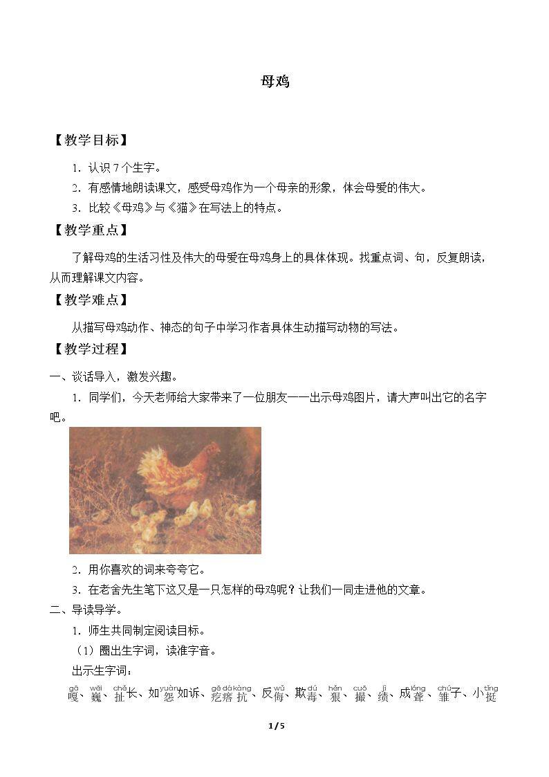 16* 母鸡