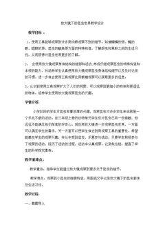 放大镜下的昆虫世界