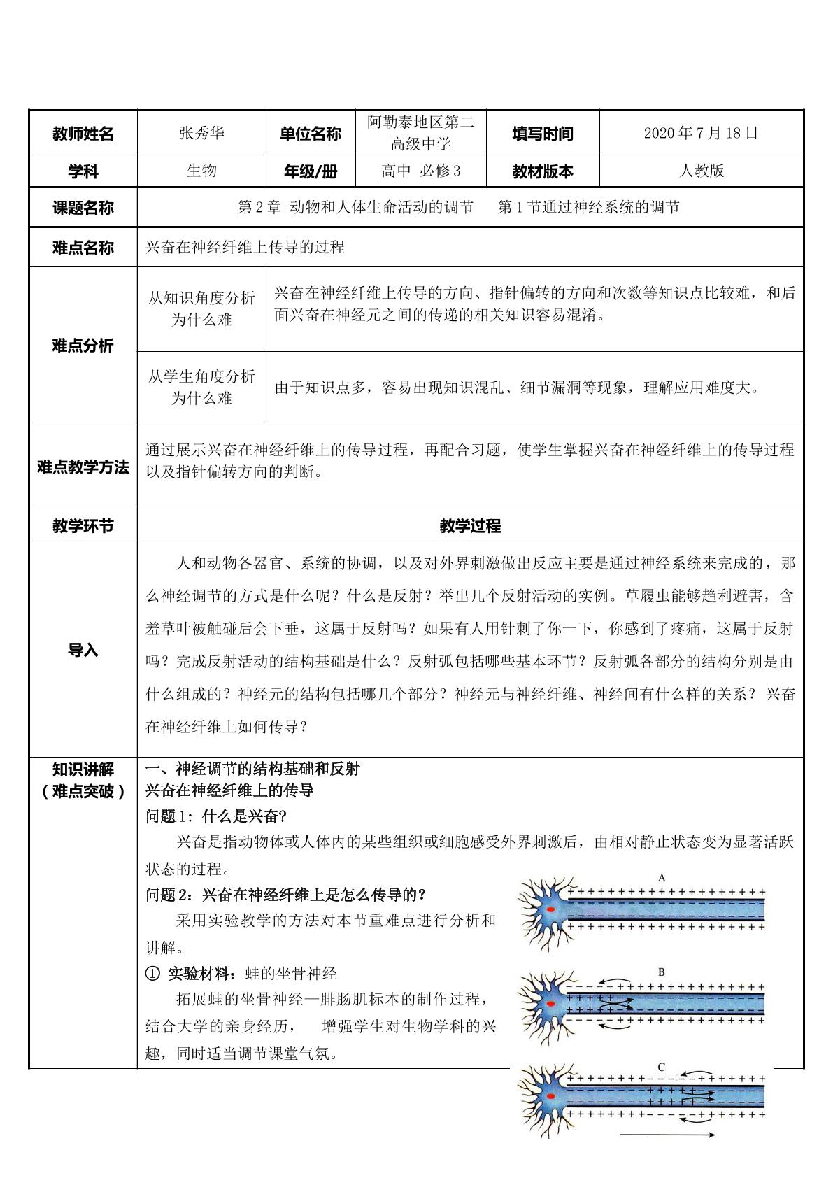 通过神经系统的调节