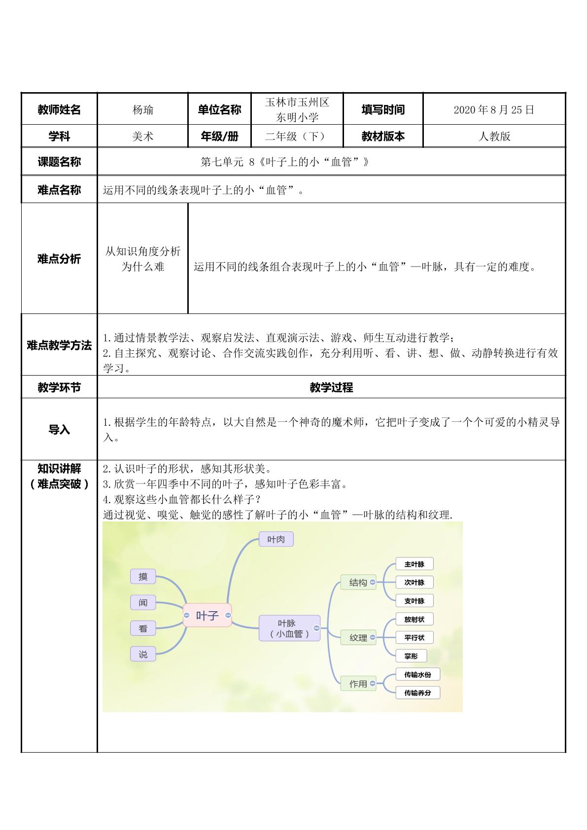 叶子上的小血管