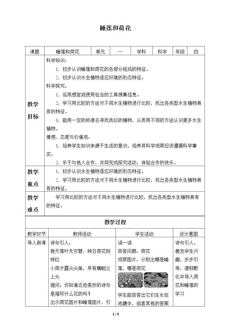 睡莲和荷花