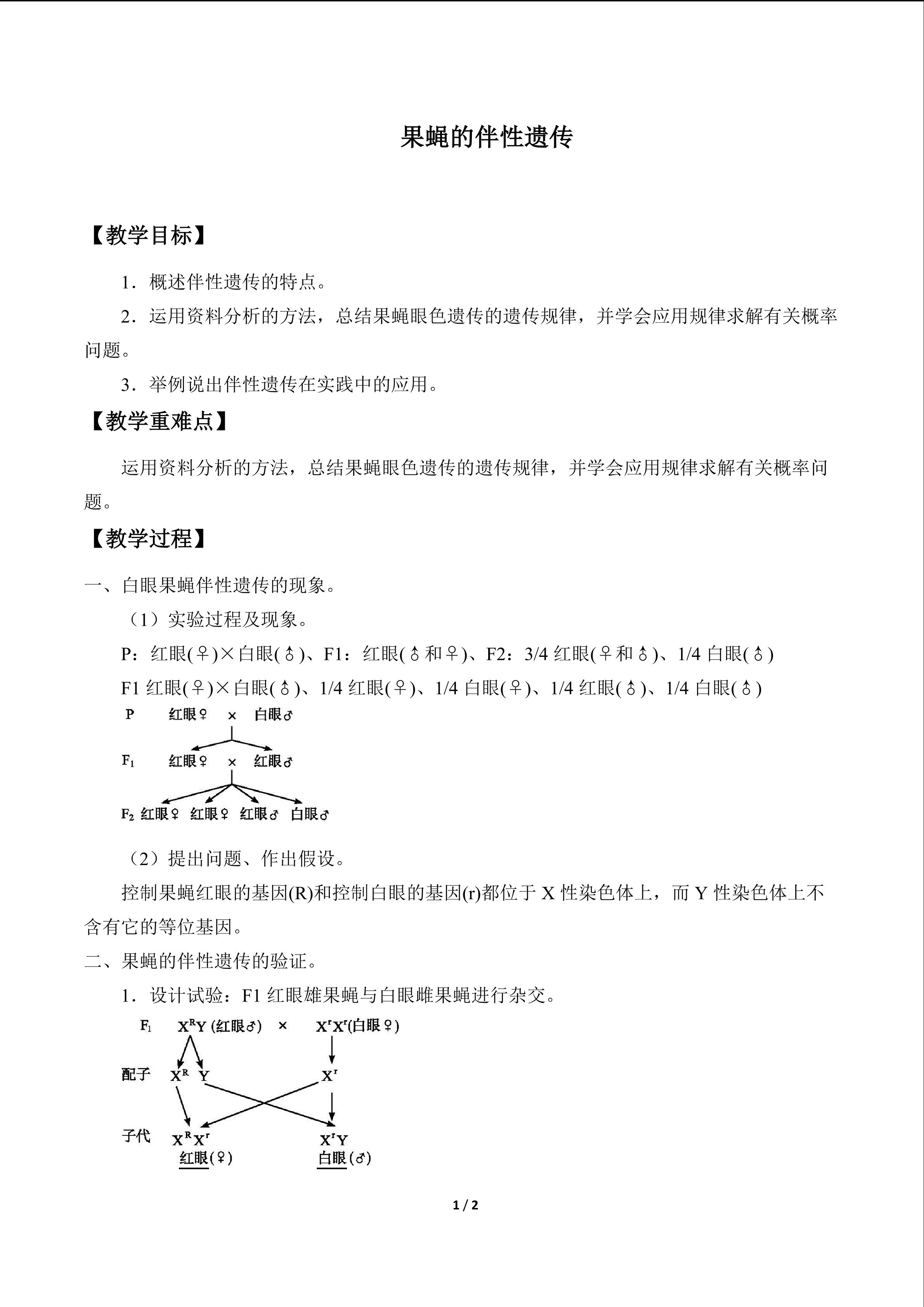 果蝇的伴性遗传_教案1