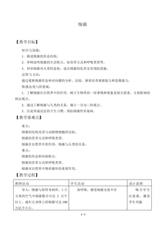 细菌_教案1