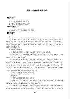 实验与实践 4.6 培养、观察青霉和酵母菌_教案