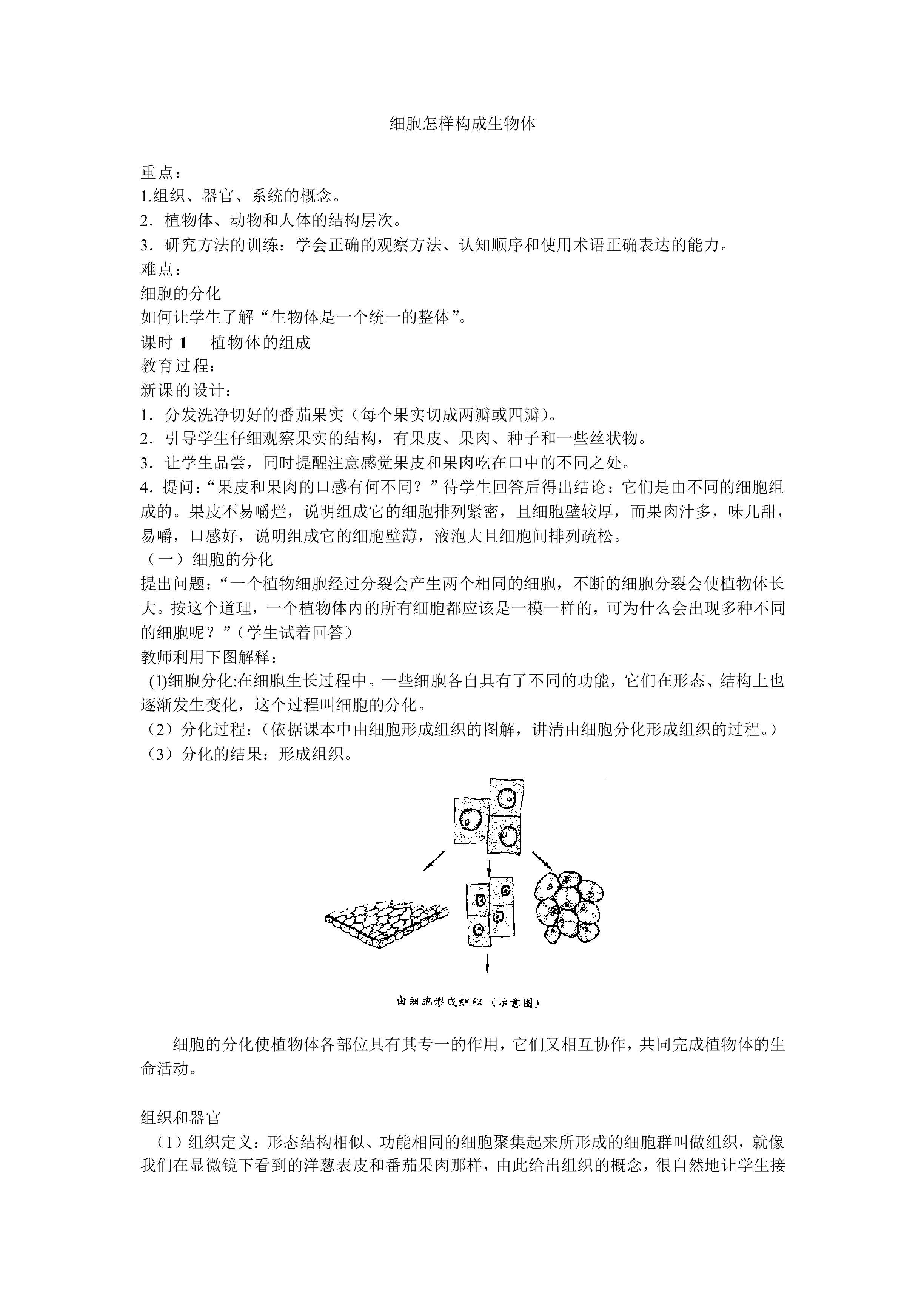 细胞怎样构成生物体_教案1