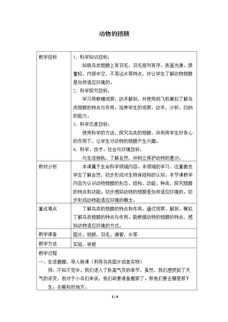 动物的翅膀