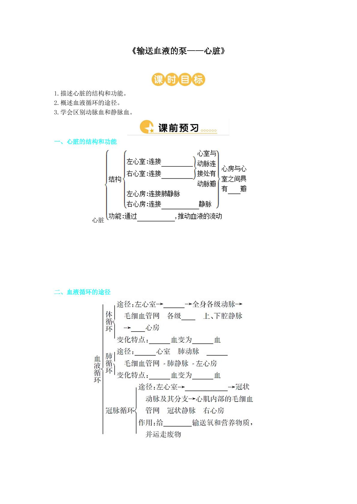 输送血液的泵——心脏