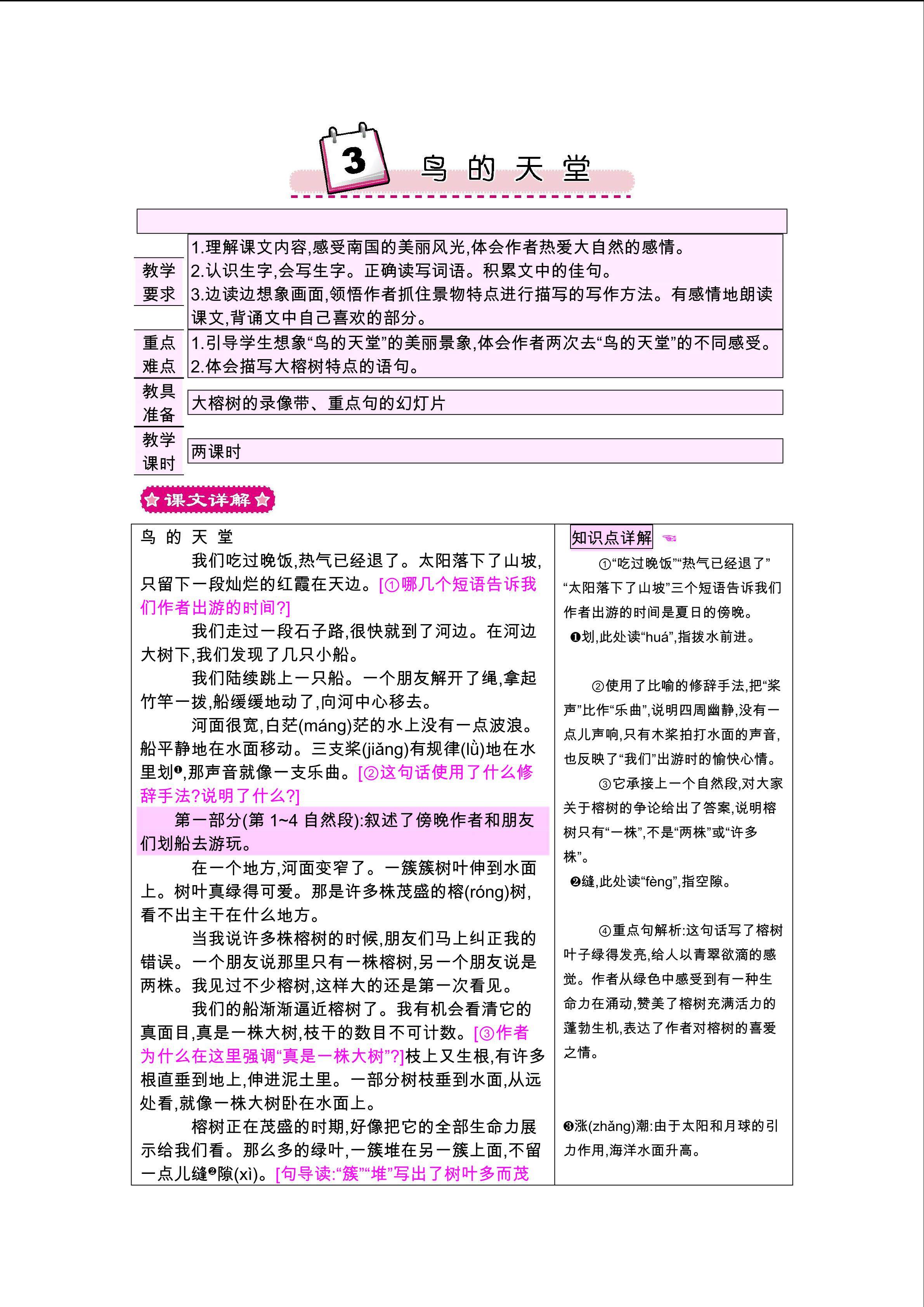 鸟的天堂