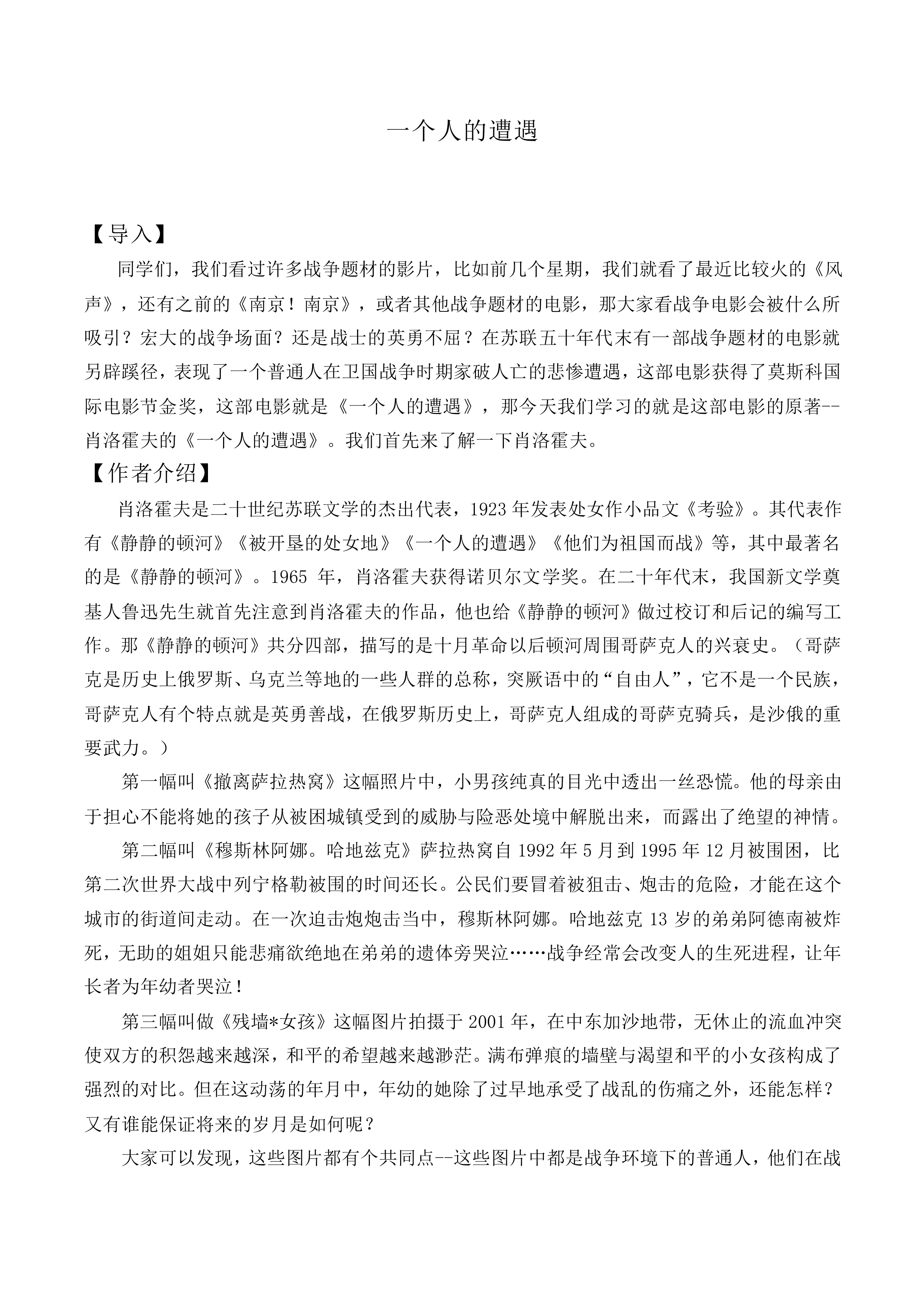一个人的遭遇（节选）_教案5