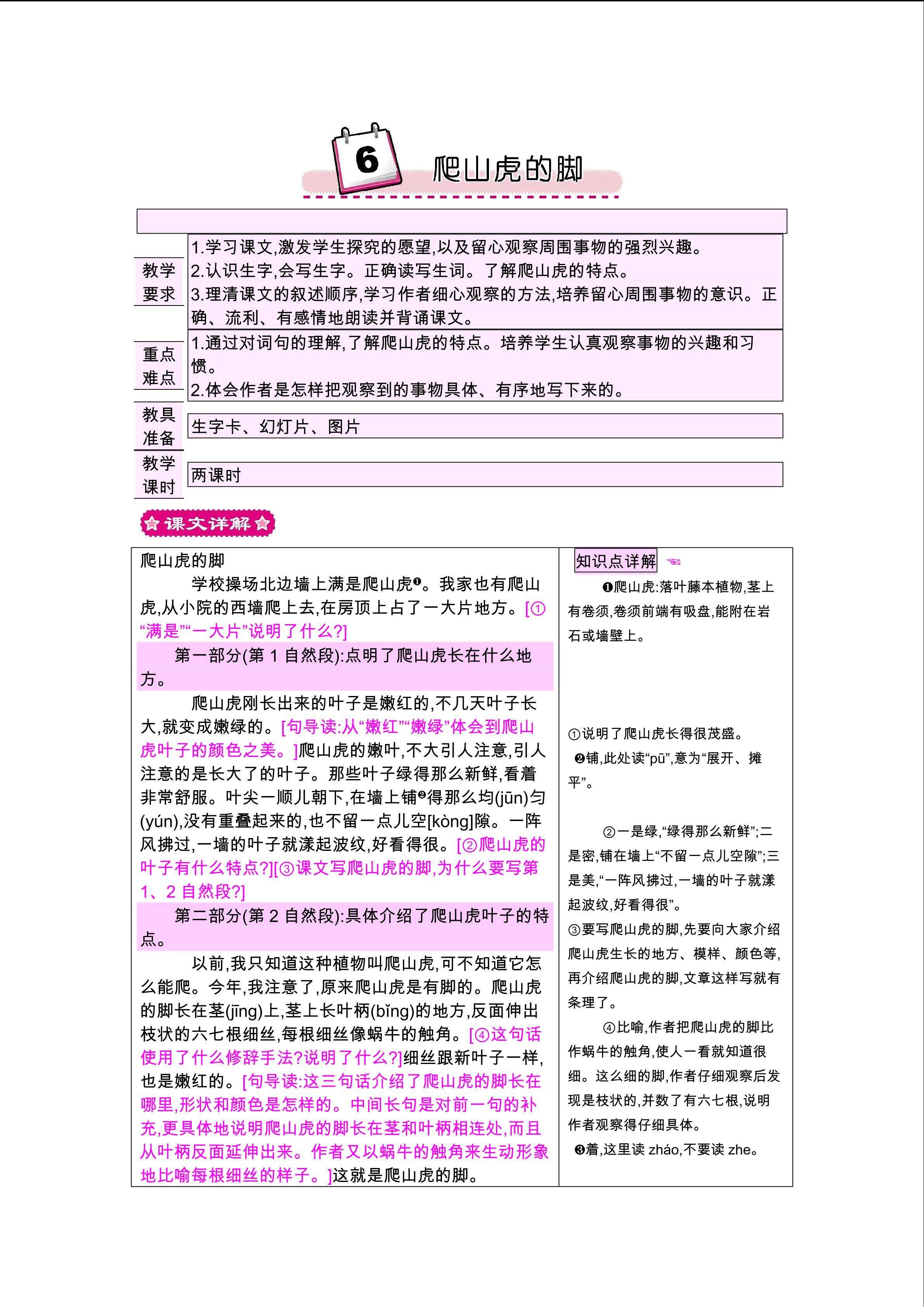 爬山虎的脚