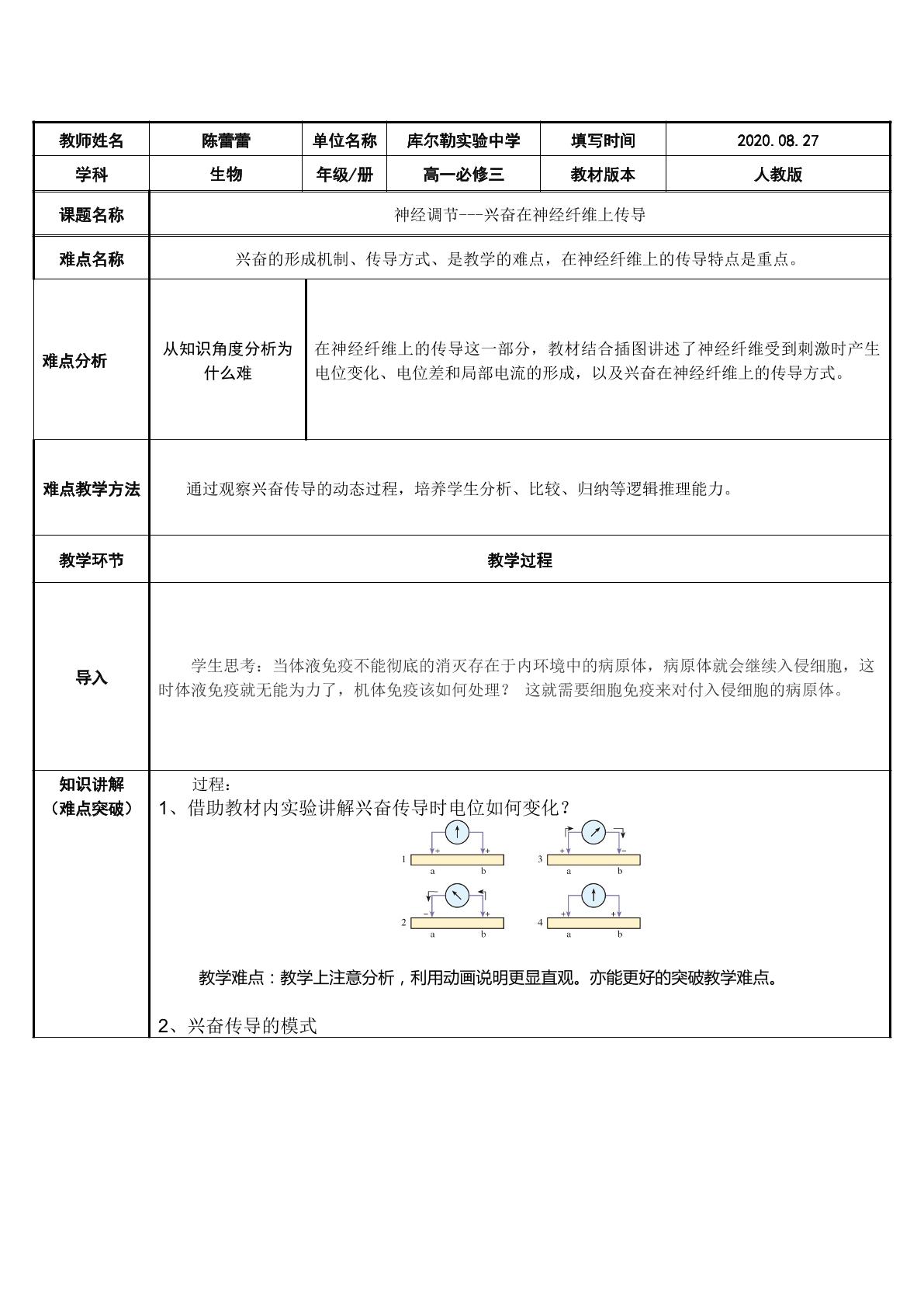 神经调节---兴奋在神经纤维上的传导