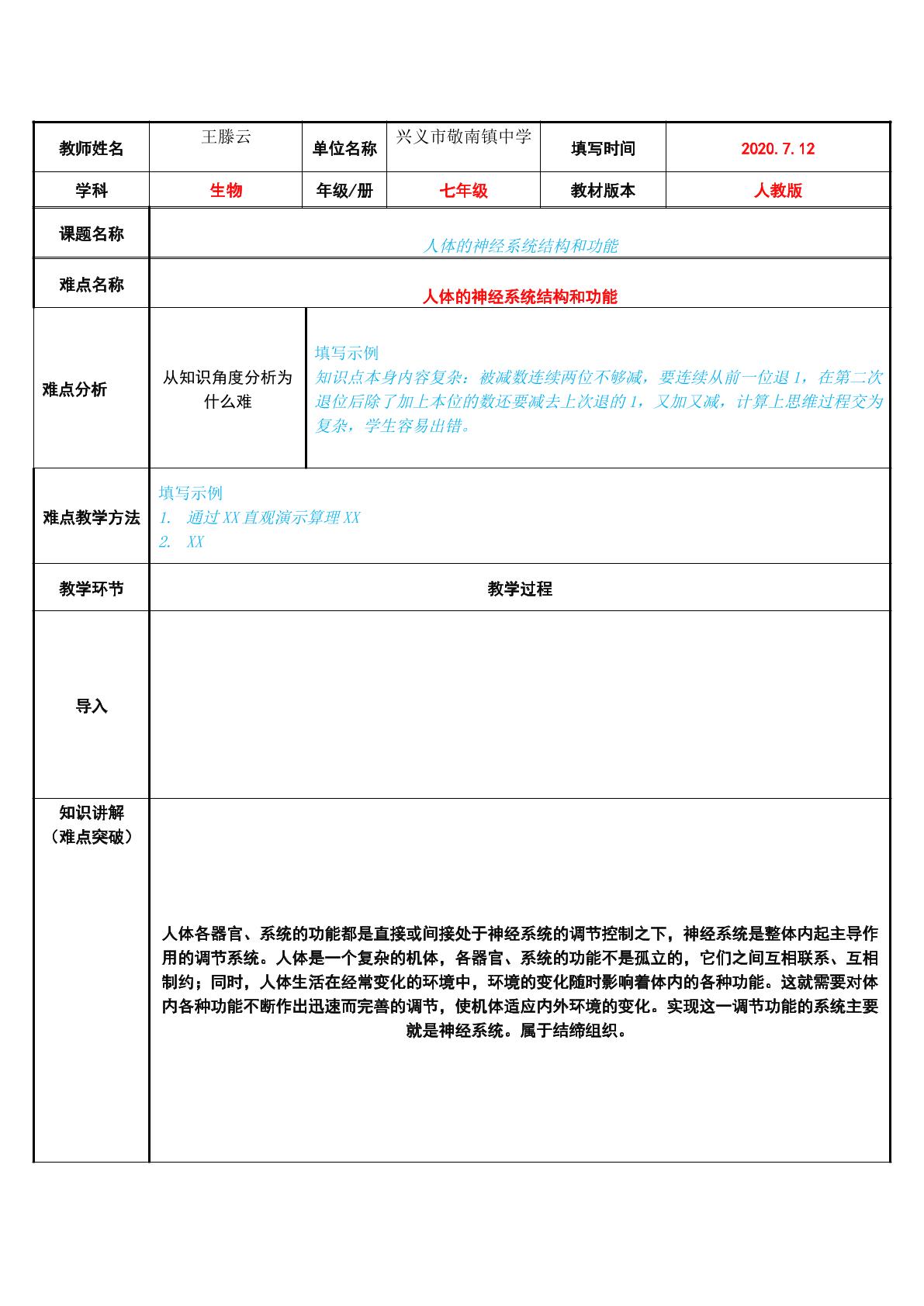 人体的神经系统结构和功能