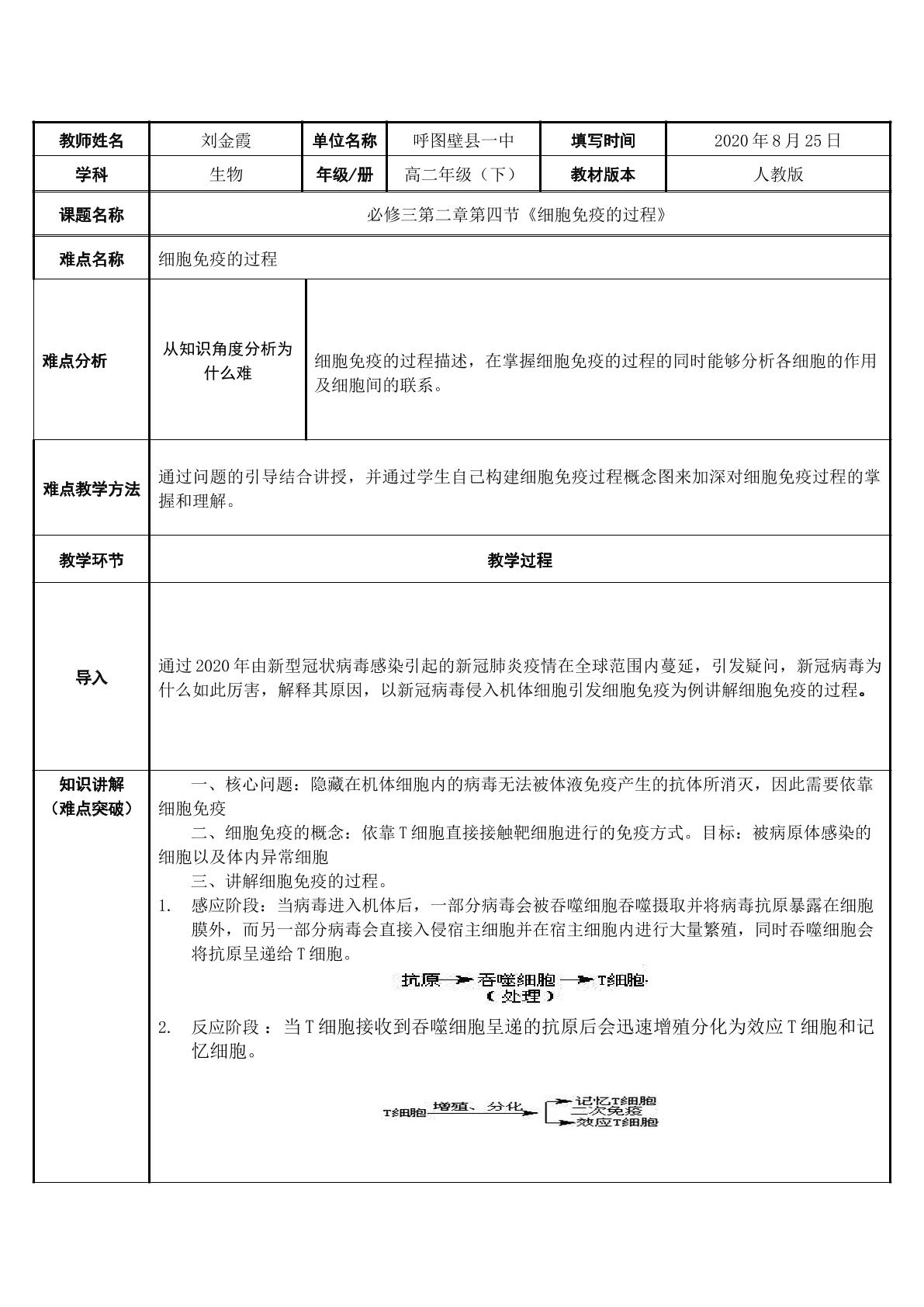 细胞免疫的过程