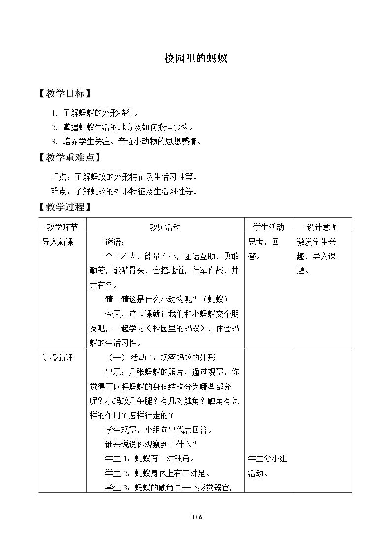 校园里的蚂蚁