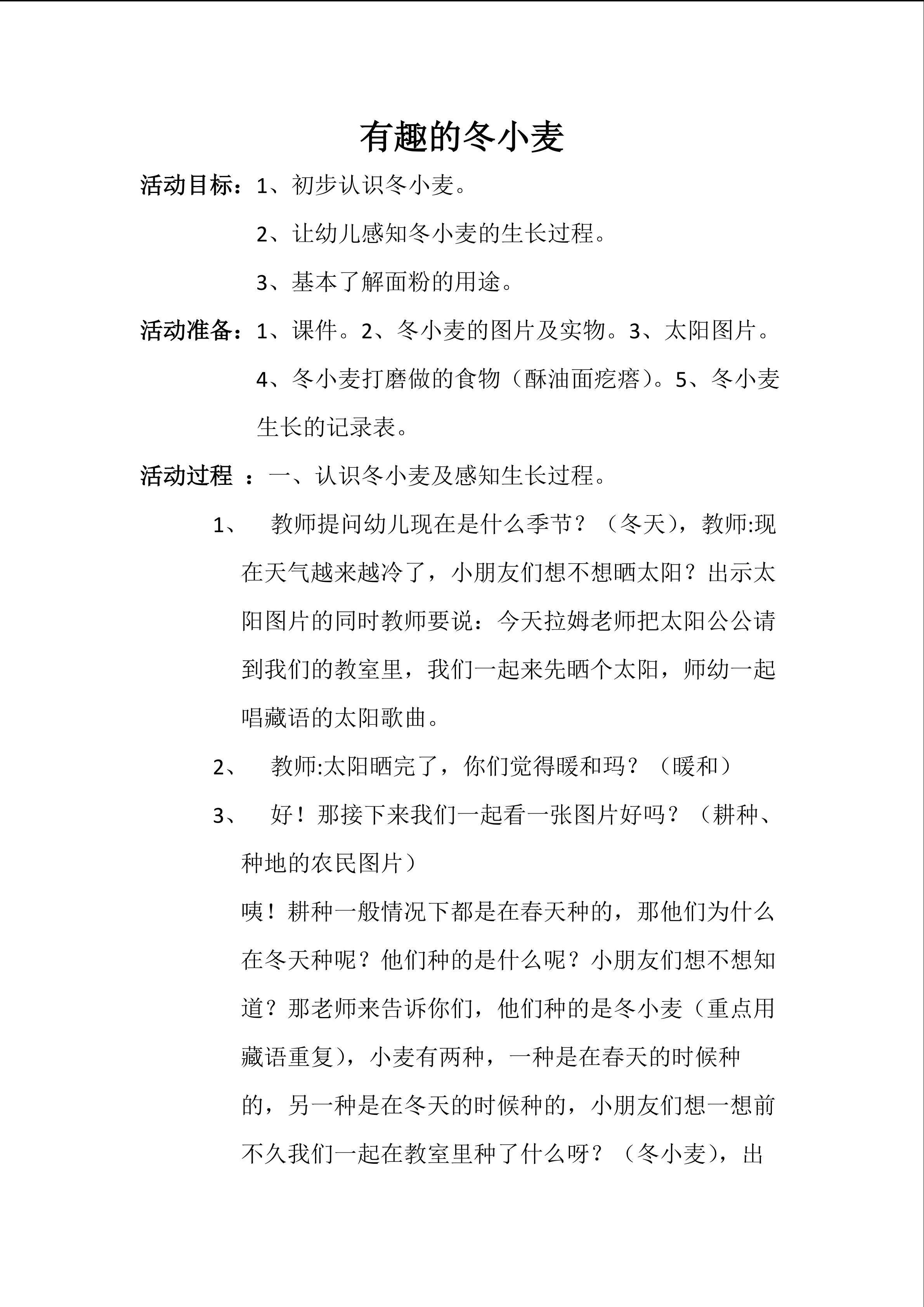 冬小麦