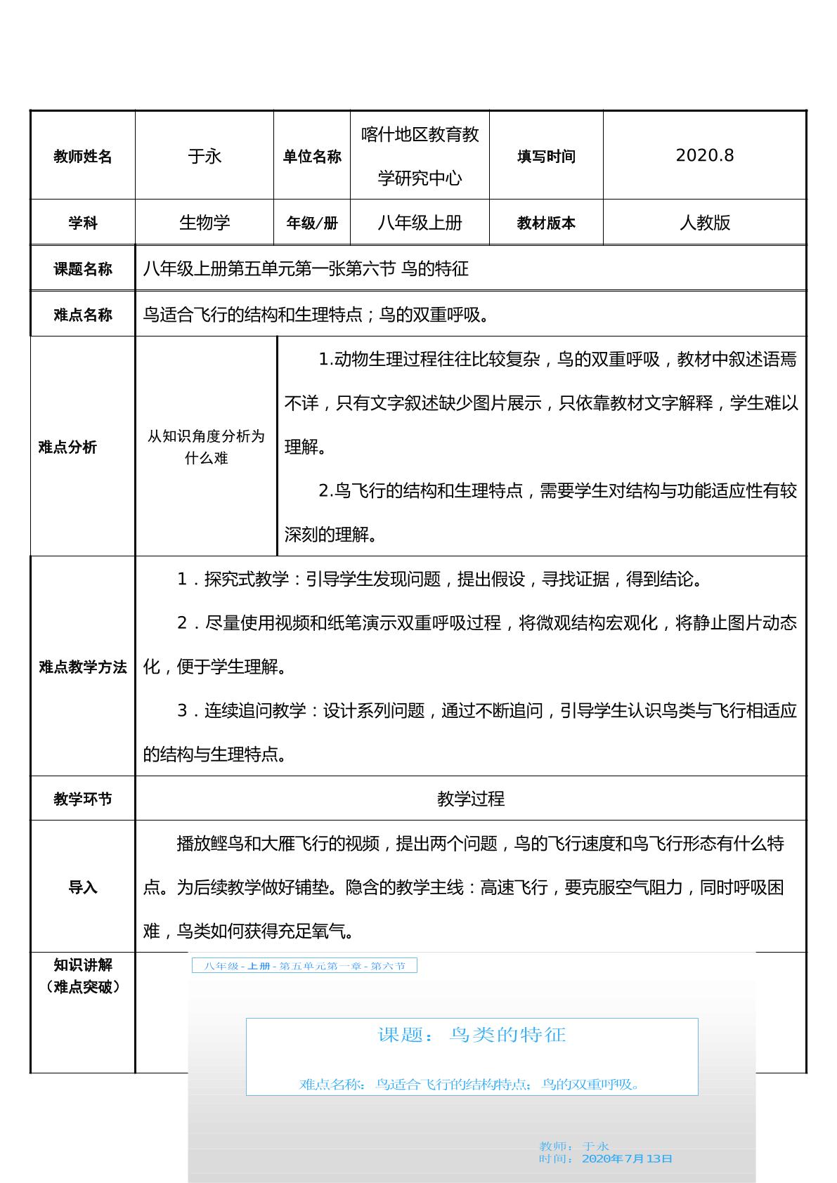 鸟类的特征