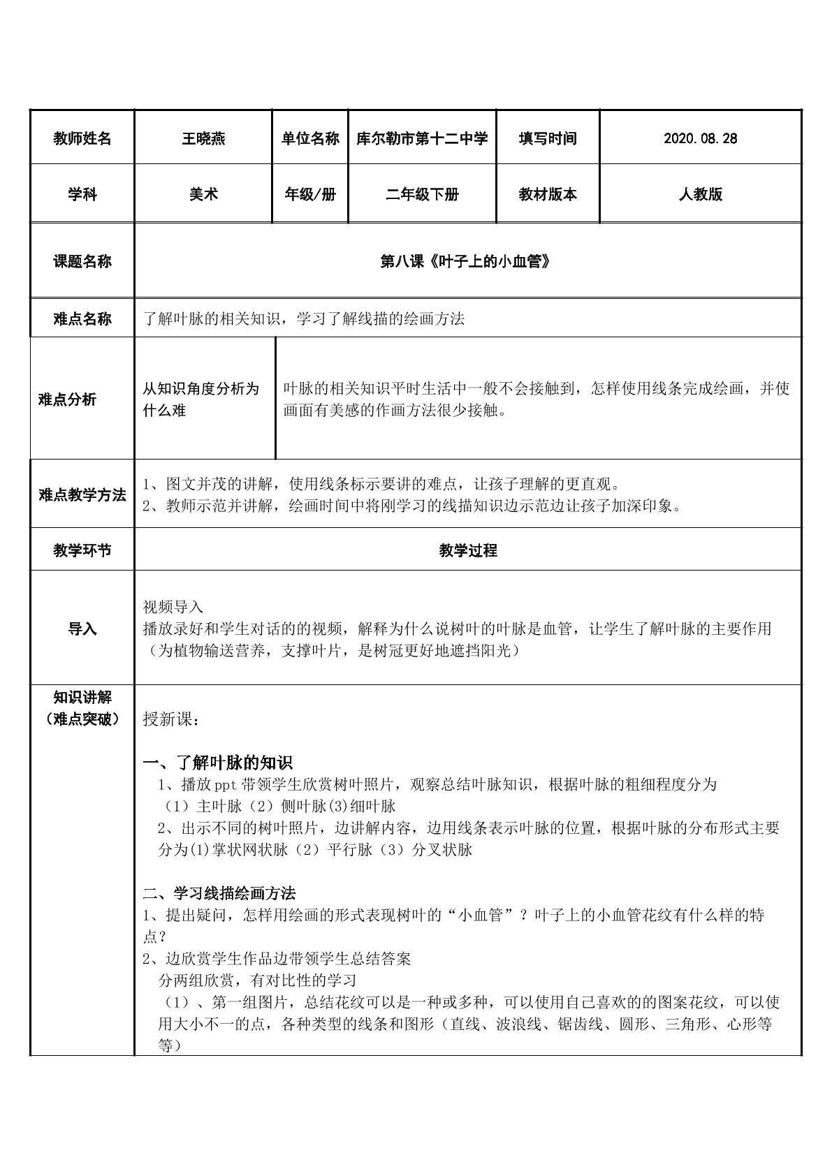 叶子上的小血管