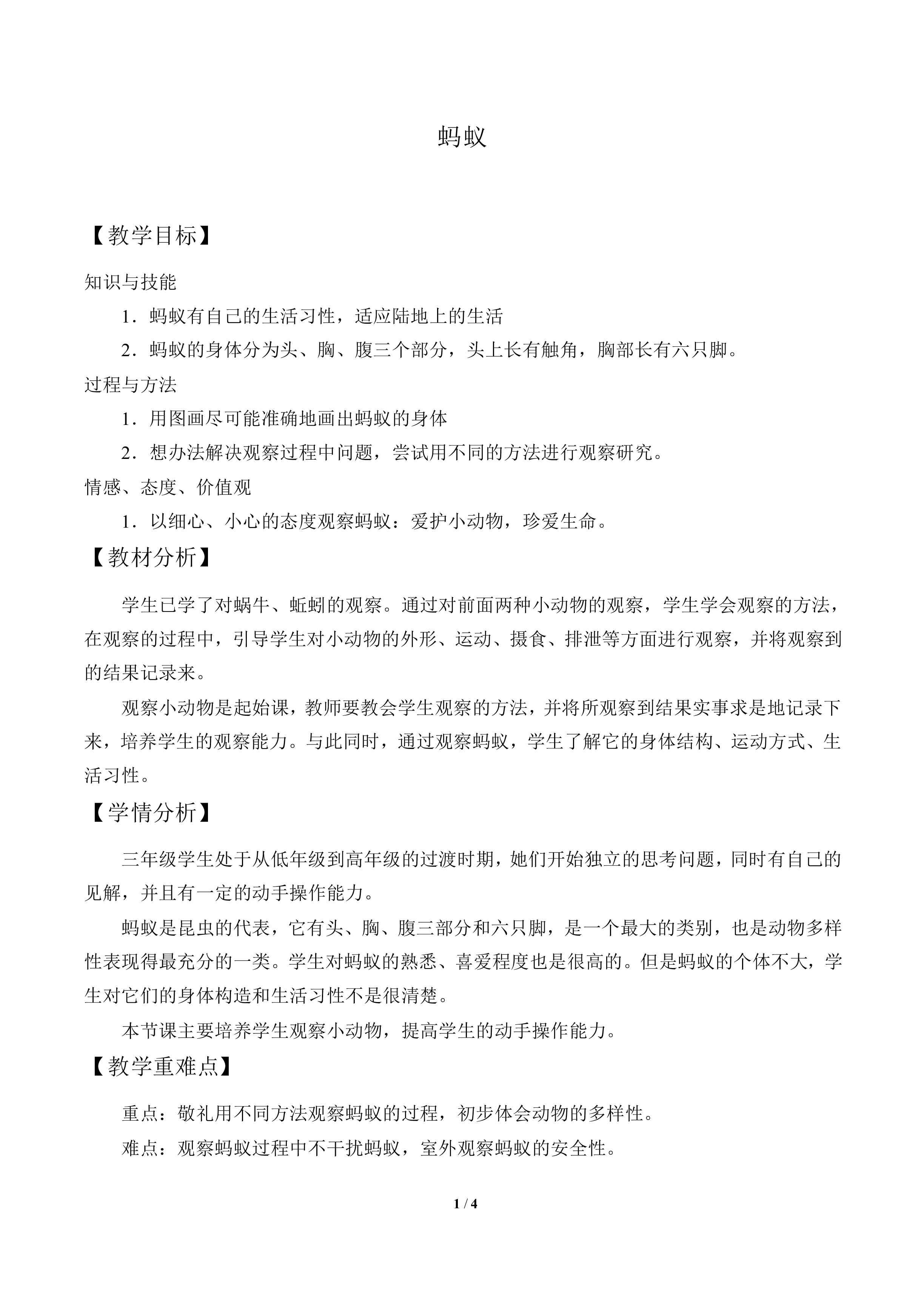 蚂蚁_教案3
