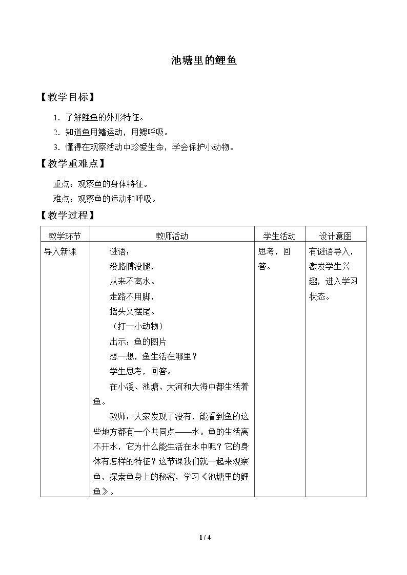 池塘里的鲤鱼