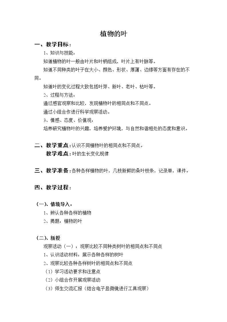 植物的叶