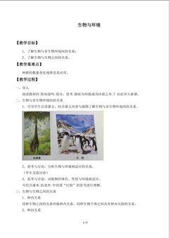 生物与环境_教案